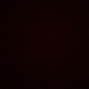 Meet your Posher, Giana